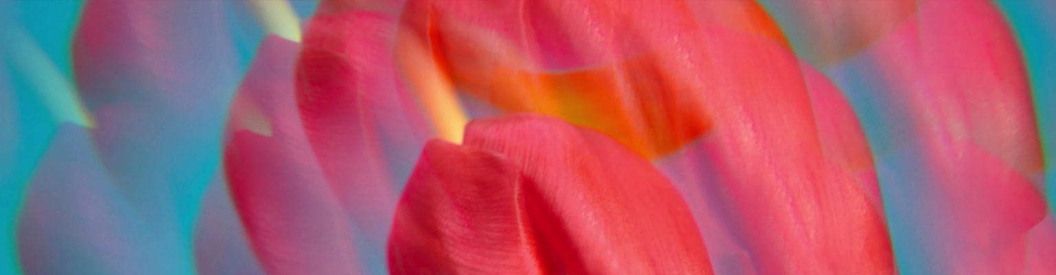 Parfums Voor Haar