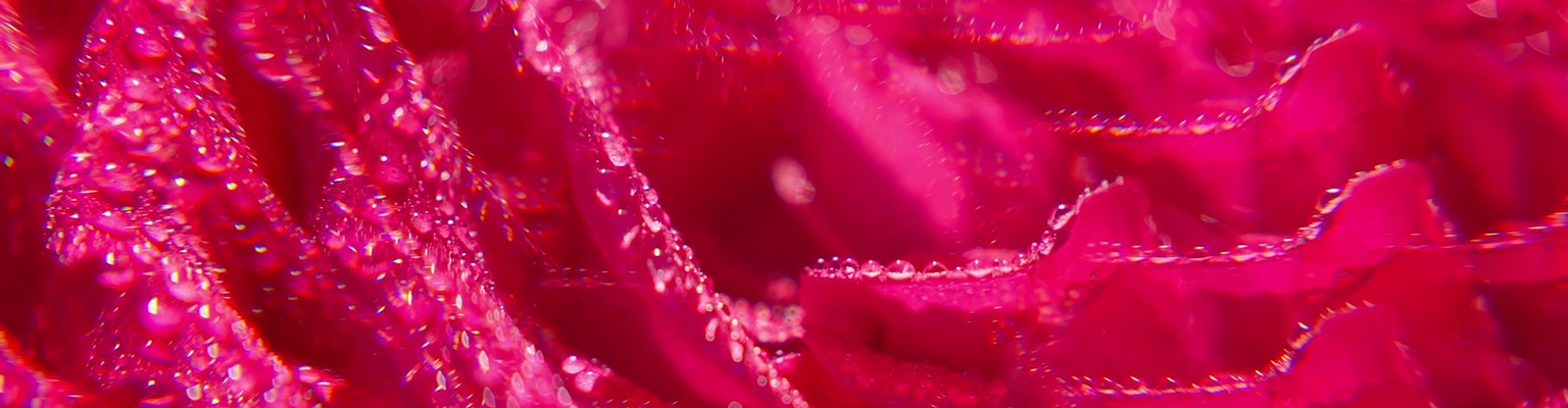 De Weldadige Douchegels