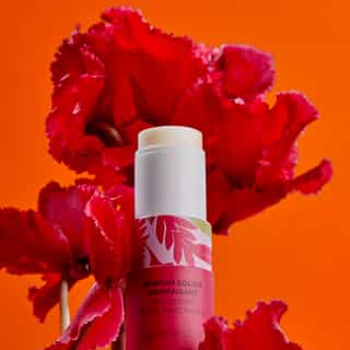 Gingembre Rouge Weldadig Vast Parfum