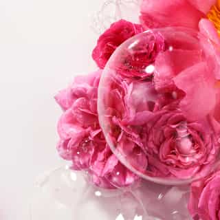 Rose Weldadige Douchegel