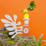 Bois d'Orange Weldadig Geparfumeerd Water