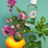 Fleur de Figuier Weldadig Geparfumeerd Water