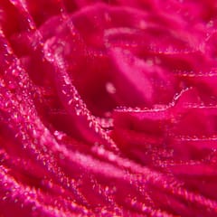 Rose Weldadig Geparfumeerd Water