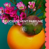 Fleur de Figuier Weldadige Lichaamsmelk