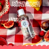 Fleur de Figuier Weldadige Lichaamsmelk