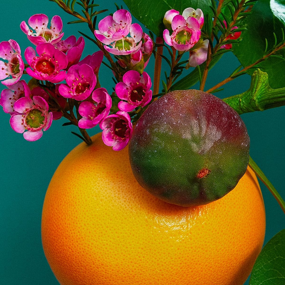 Natuurlijk ontspannend